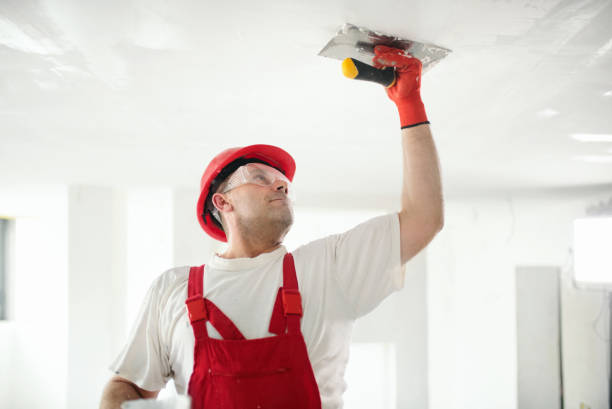 Best Drywall Sanding and Smoothing  in Glendale, WI